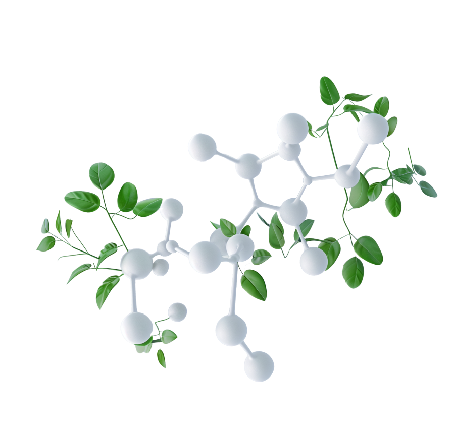 molecule 6