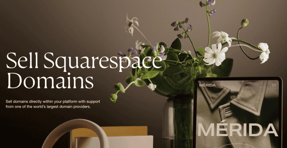 squarespace one of the saas reseller programs
